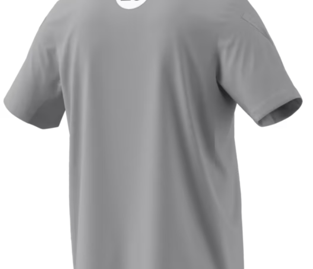 T-shirt męski, Mercedes-AMG F1